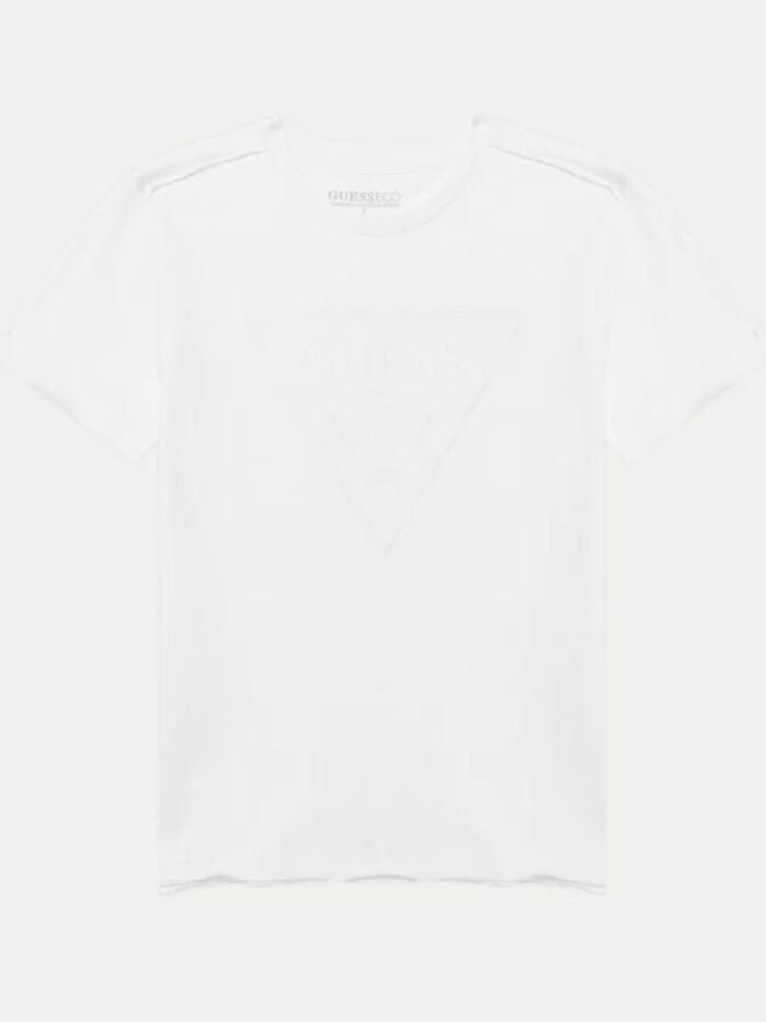 shop_ragazzo_tshirtragazzo_guess_guel5gi02k6xn4_14923_2467_1_hd.jpg